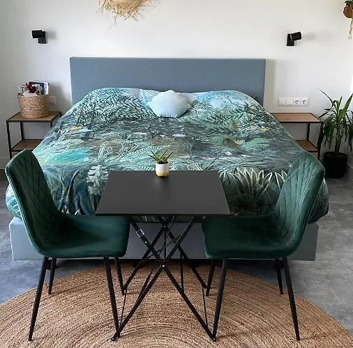 Bed No Breakfast De Kapitein Konukevi